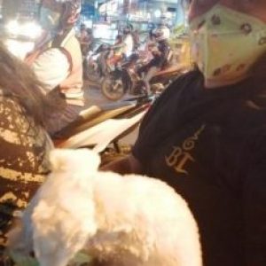 Coronavirus (COVID-19)